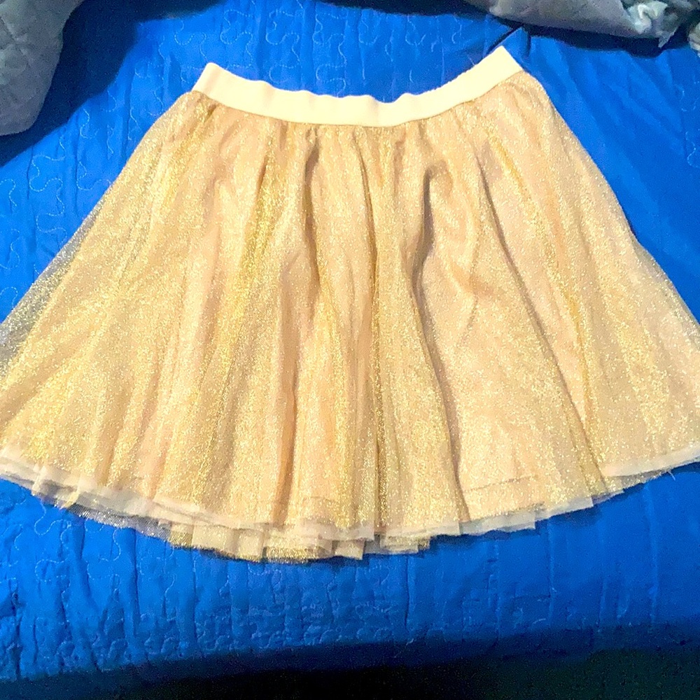 Rose gold skirt
